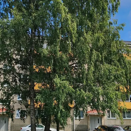 Vilde * Tallinn